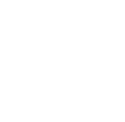 Due Diligence icon