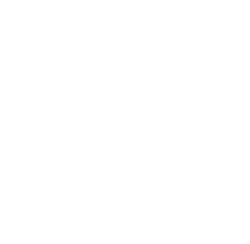 Transfer Pricing icon